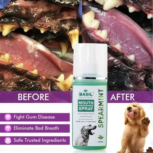 Basil Mouth Freshening Spray - Spearmint