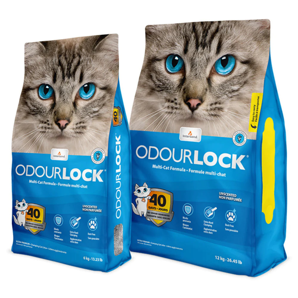 Intersand Unscented OdourLock Cat Litter