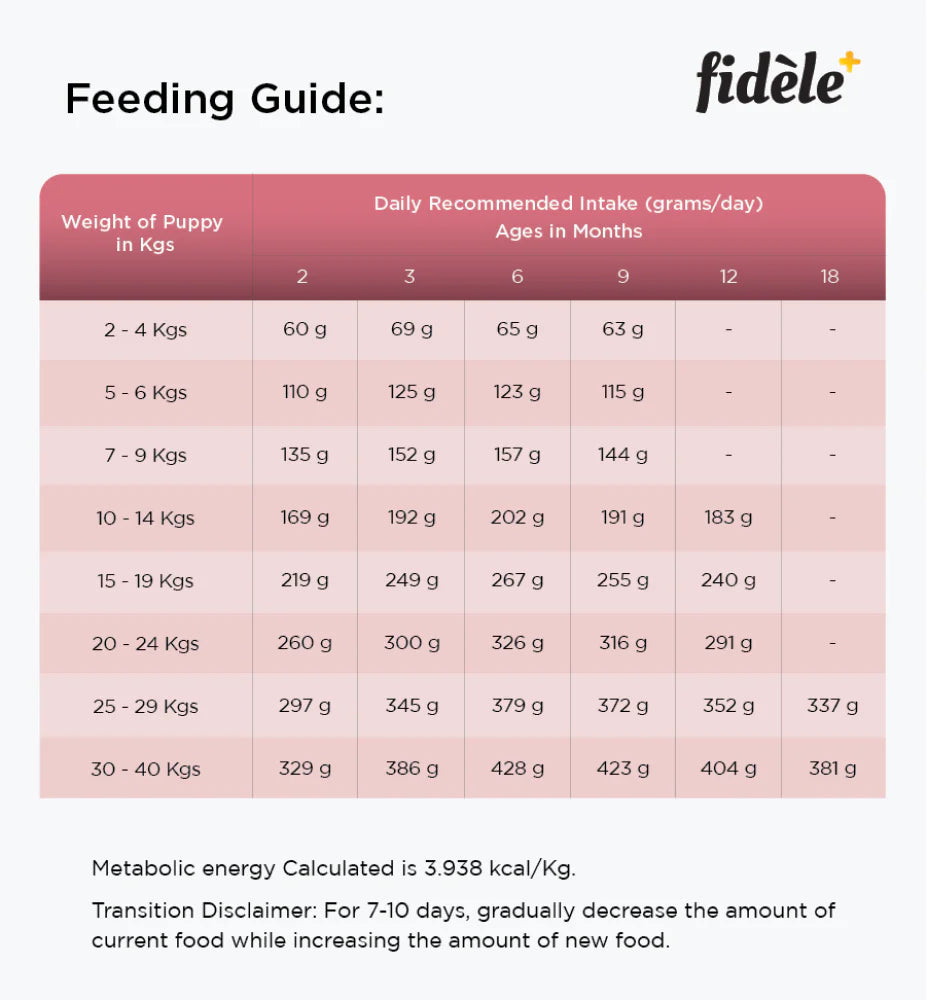 Fidele Small And Medium Puppy Dry Food