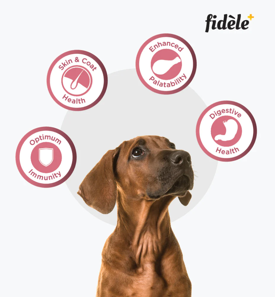 Fidele Small And Medium Puppy Dry Food