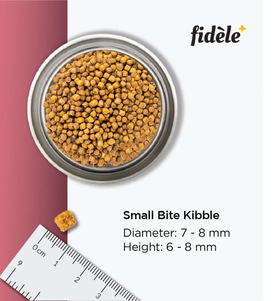 Fidele Small And Medium Puppy Dry Food