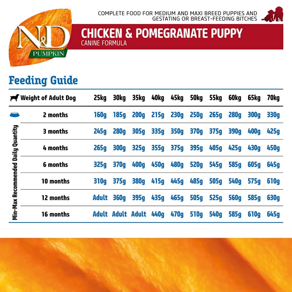 N & D Chicken Pumpkin Med Maxi Puppy