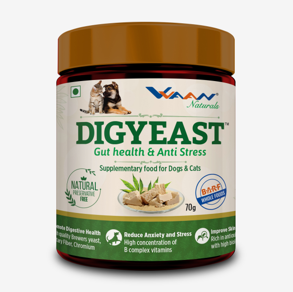 Vvaan Lifescience Digyeast Powder