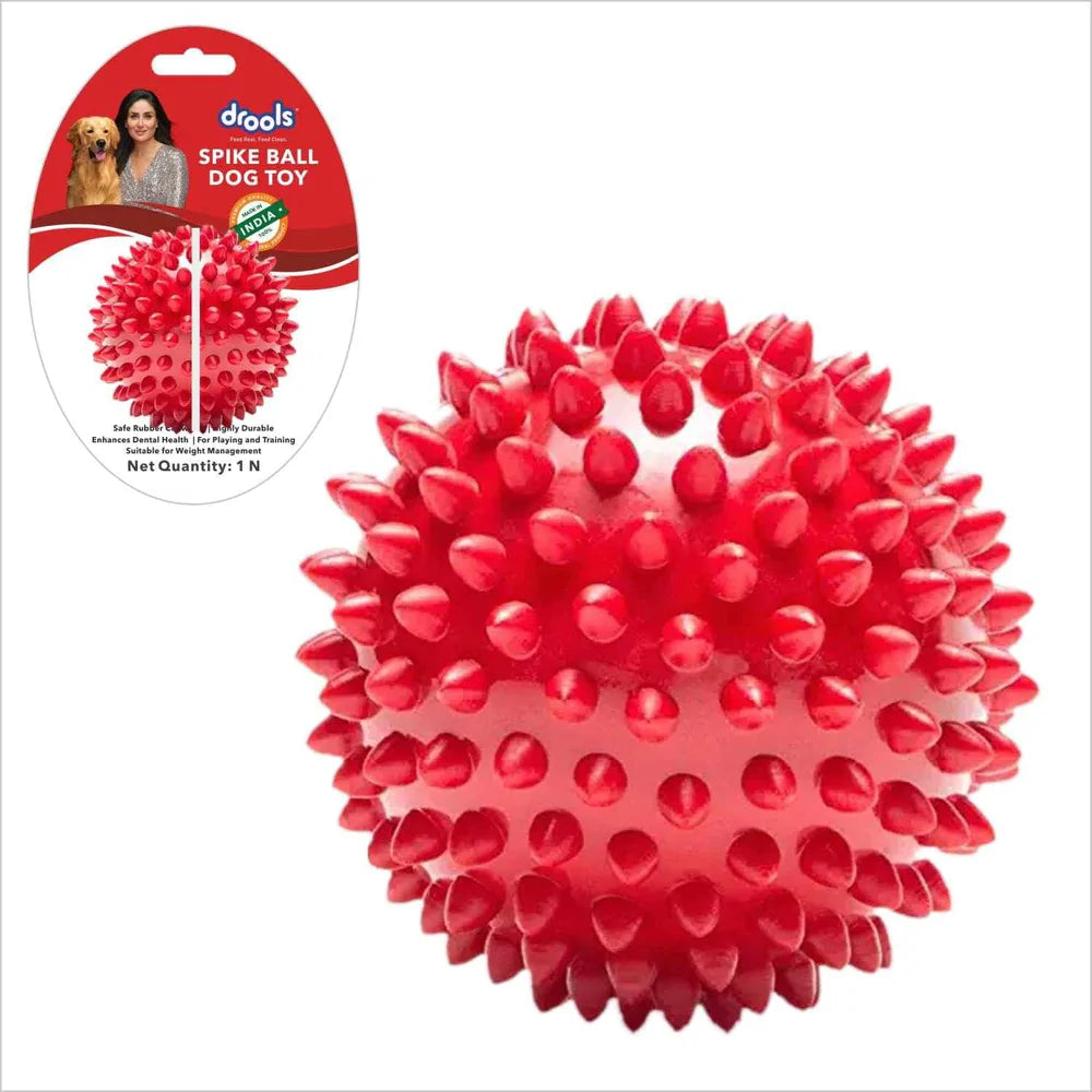 Drools Dog Spike Hard Ball Toy