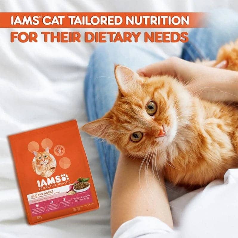 IAMS Adult Cat Tuna Salmon