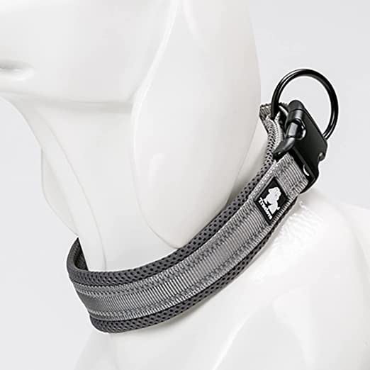 Truelove Padded Collar Gray