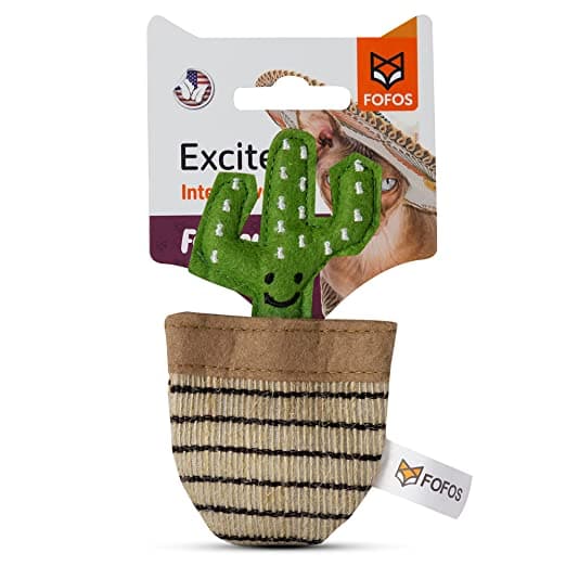 Fofos Cute Treat Toy Cactus