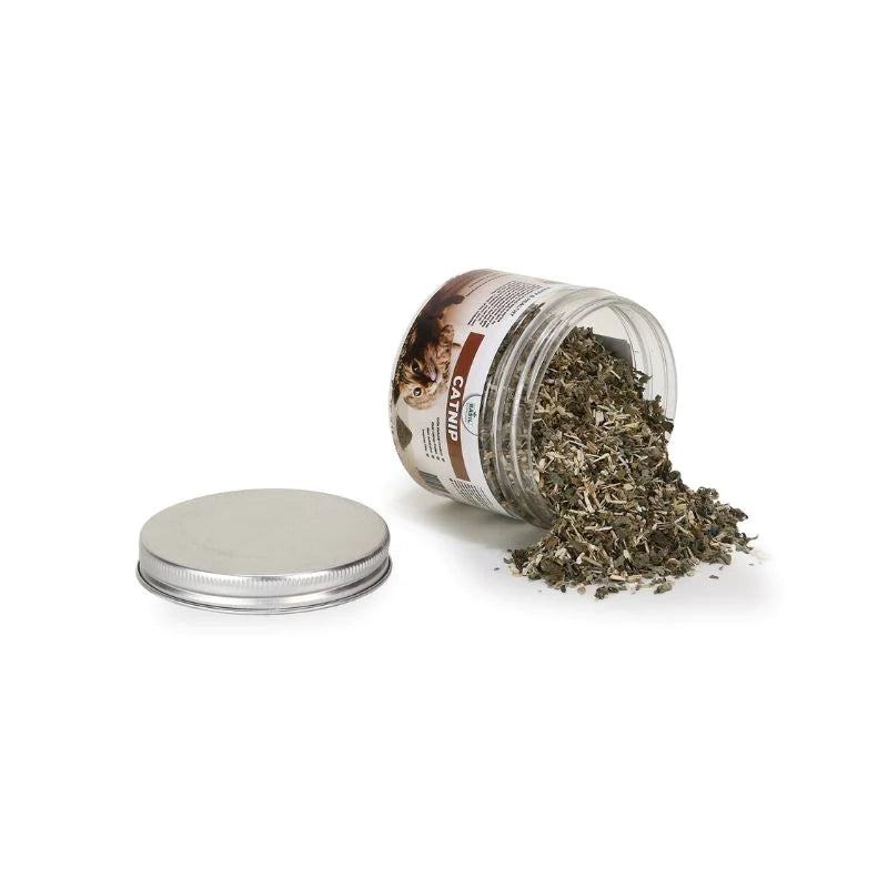 Basil Cat Nip Jar