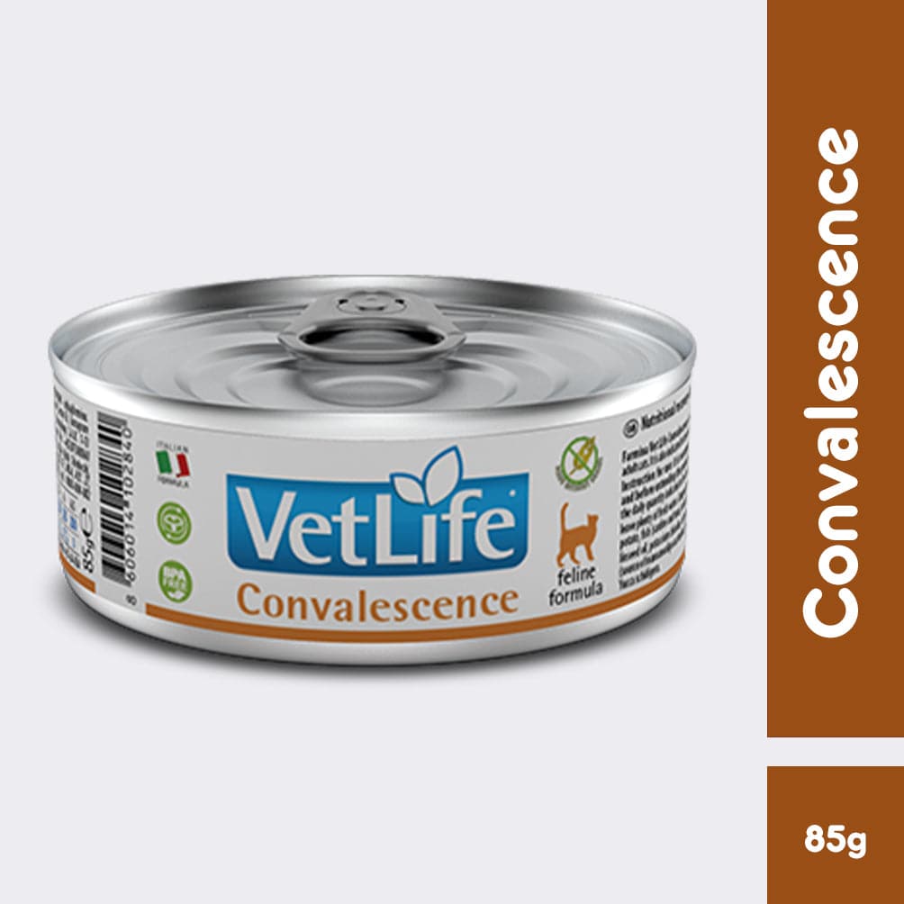 Vet life Convalescence cat 85g