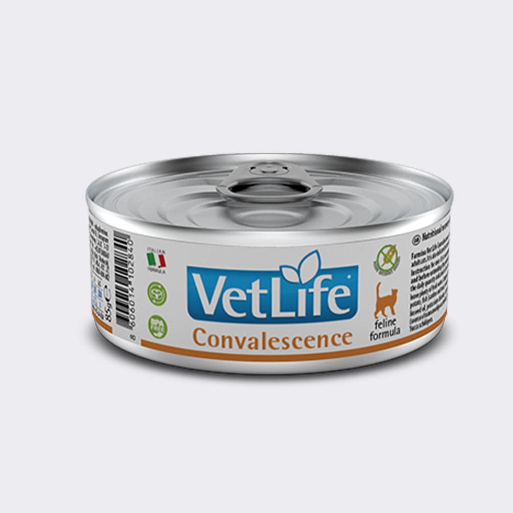 Vet life Convalescence cat 85g