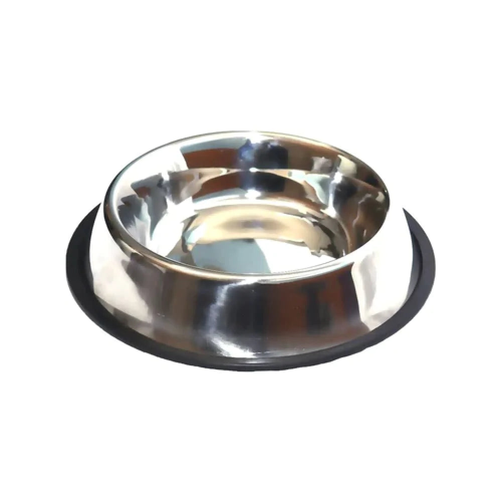 Dog Bowl