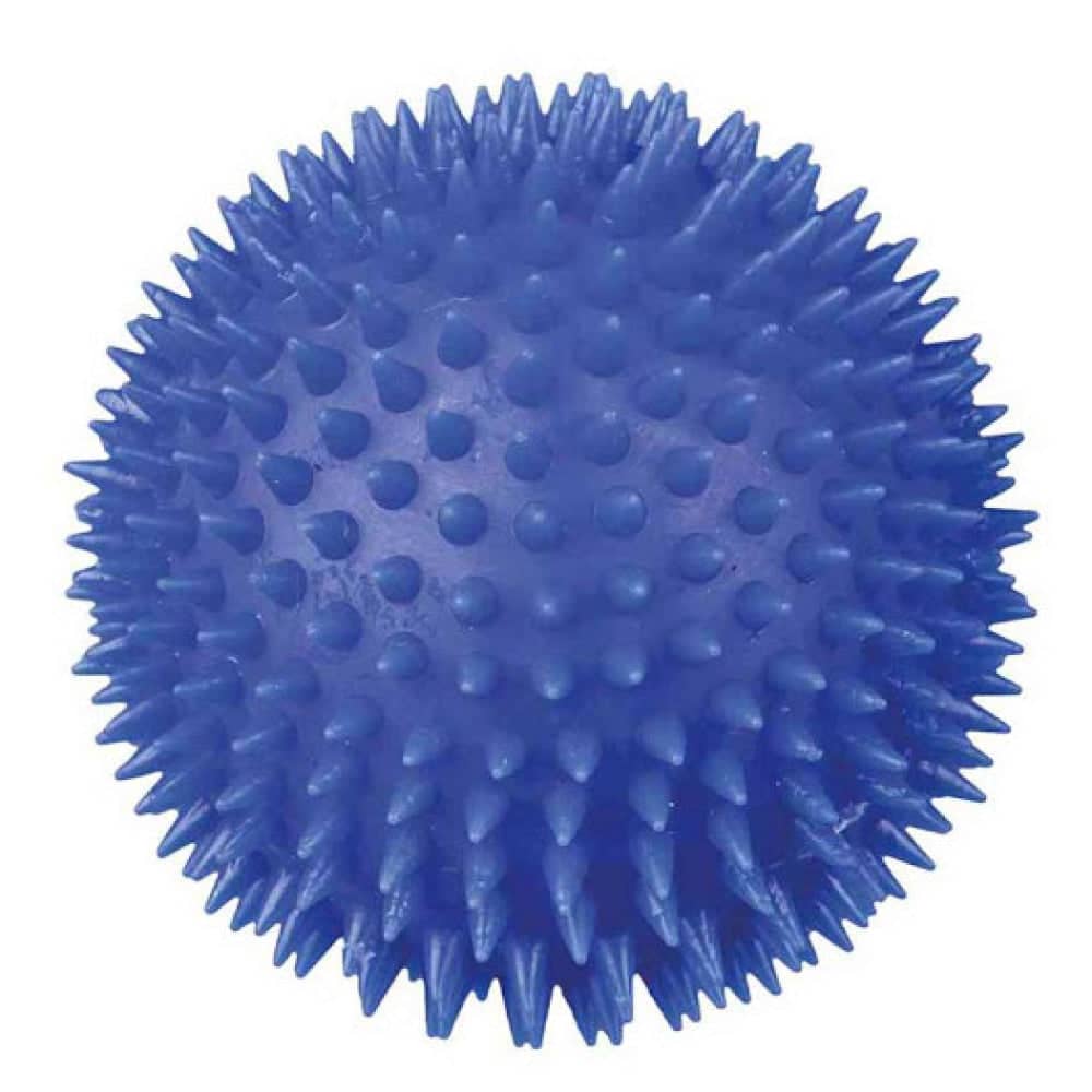 Leza Spike Ball Large