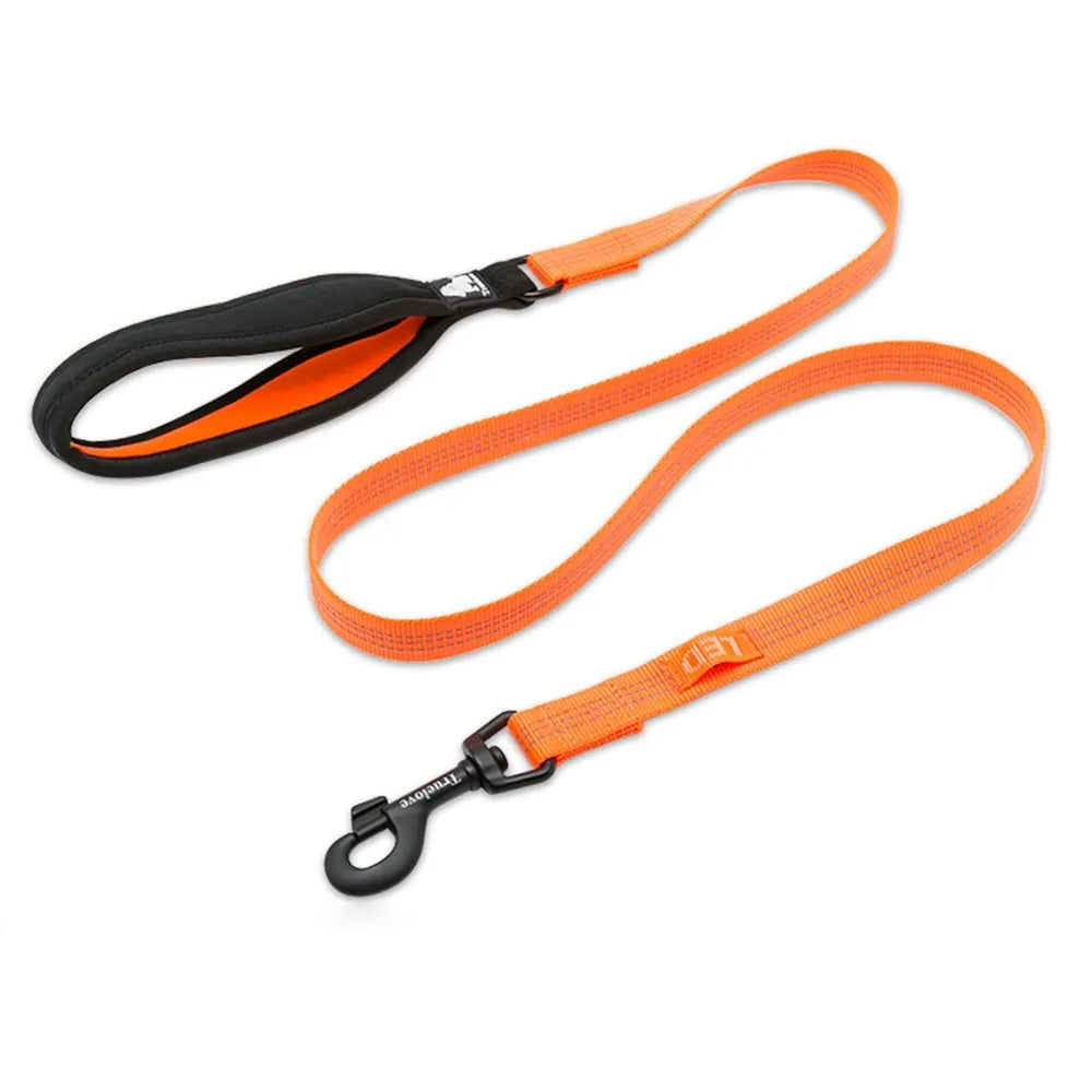 Truelove Nylon Leash Orange