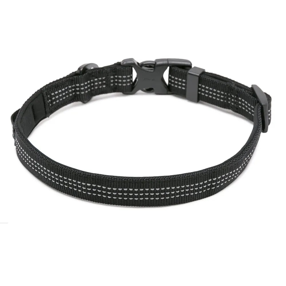 Truelove Padded Collar Black