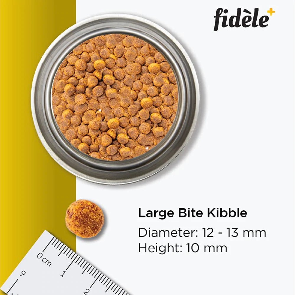 Fidele plus Large Puppy 1kg - Petzzing