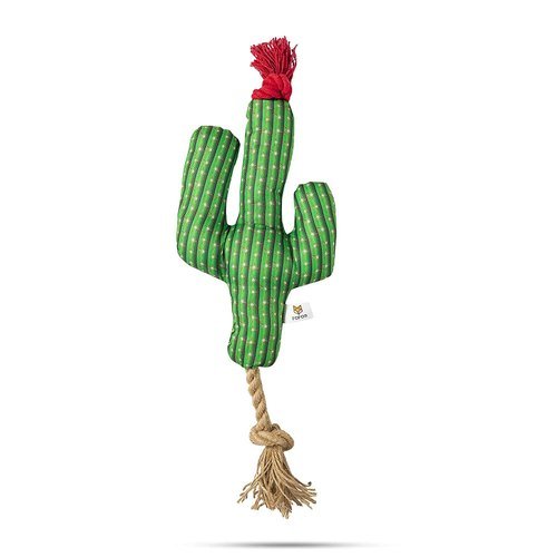 FOFOS Cactus With Hemp Rope - Petzzing