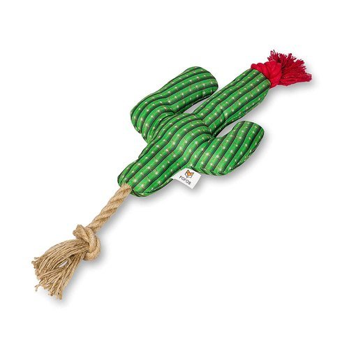 FOFOS Cactus With Hemp Rope - Petzzing