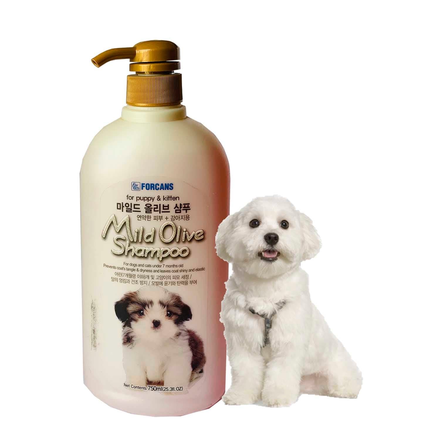 Forbis Mild Olive Puppy Shampoo Petzzing