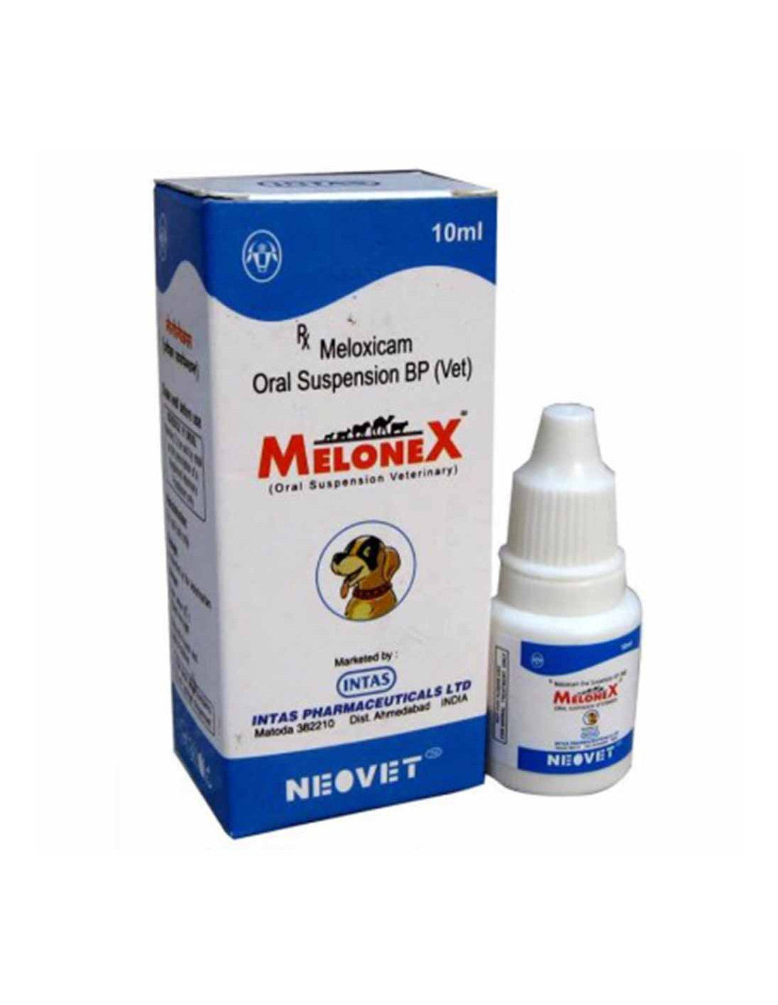 meloxicam for dogs