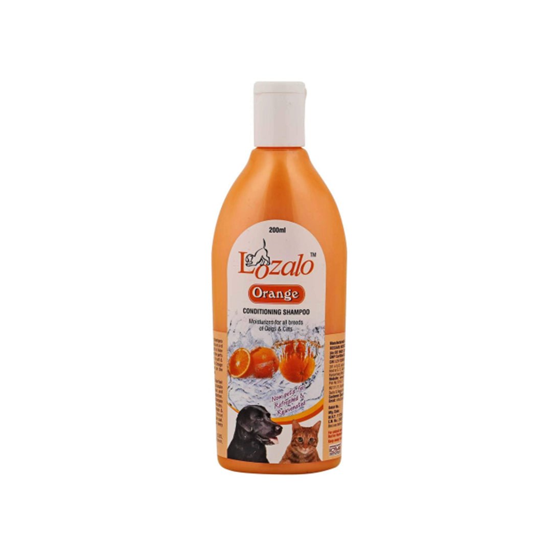 Lozalo Orange Shampoo