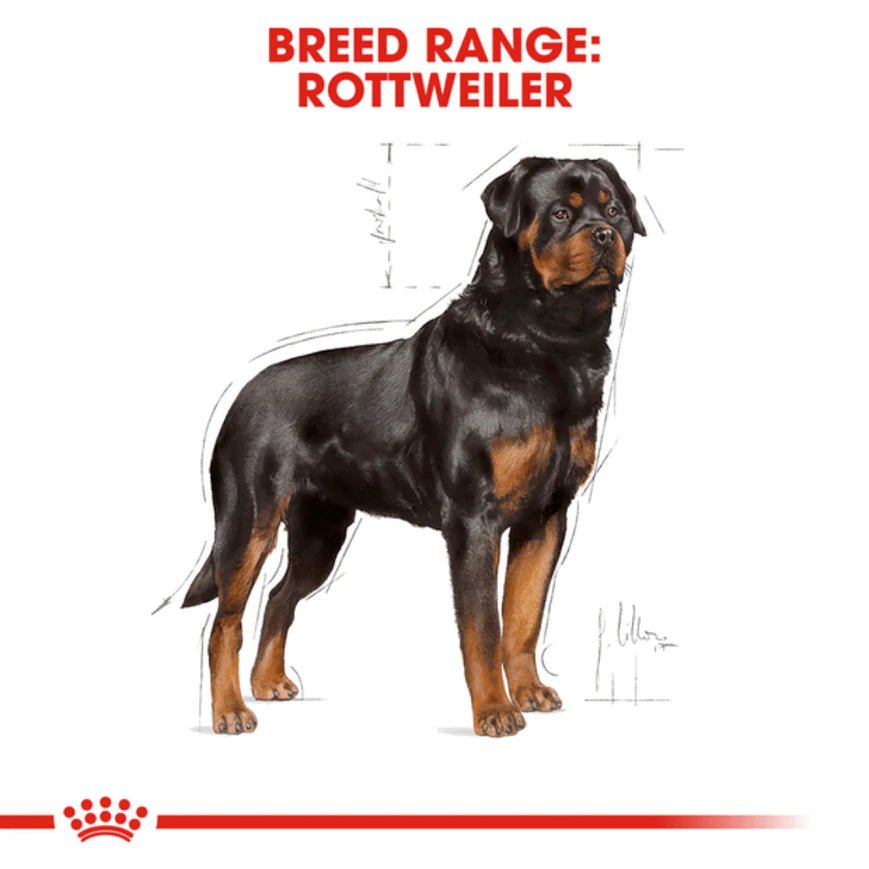 Royal Canin Rottweiler Adult Dog Dry Food - Petzzing