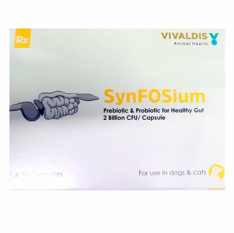 Synfosium Capsule